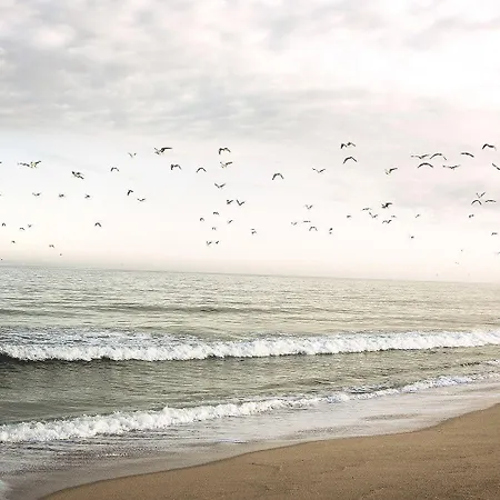 호텔 Noah Surf House Portugal 산타 크루즈