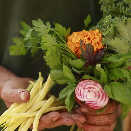 호텔 Noah Surf House Portugal *