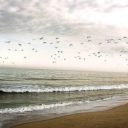 Noah Surf House Portugal Otel *